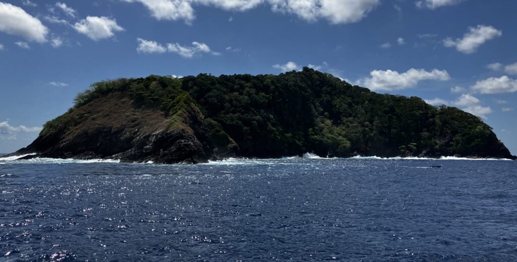 Scuba Diving Koh Bon