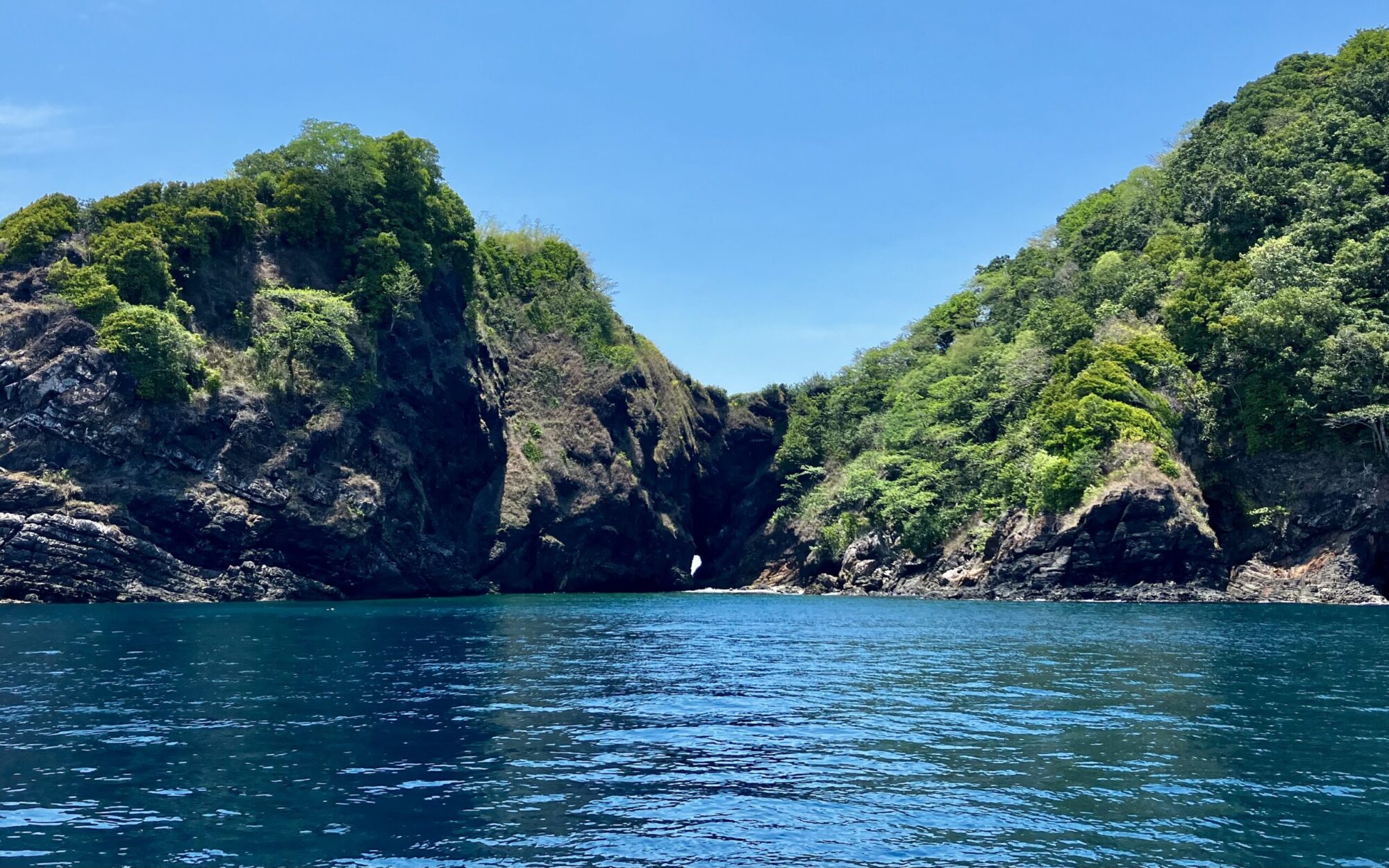 Scuba Diving Koh Bon